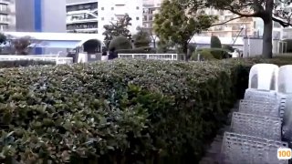 好听的欧美动感音乐_欧美亚洲精品成人视频